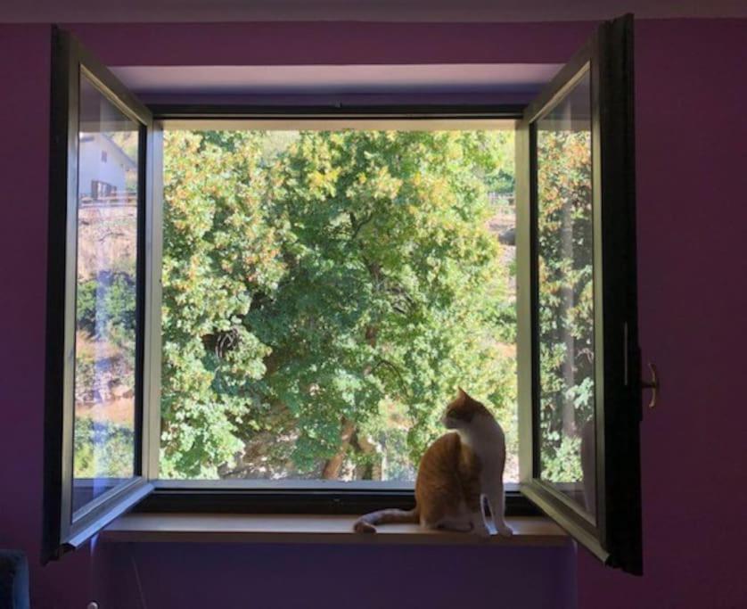 Casa Con Vista A Gravere Dış mekan fotoğraf